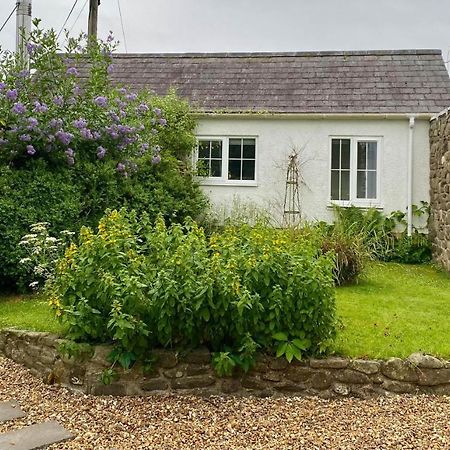 Daffodil House Annex, Cynghordy, West Wales Llandovery Exterior foto